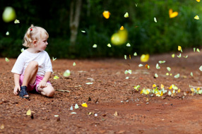 Les piqûres d’insectes et les enfants : vigilance