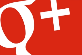 Google + Babystock