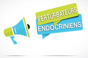 Perturbateurs endocriniens grossesse